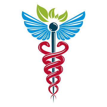 Caduceus symbol composed with poisonous snakes and bird wings, healthcare conceptual vector illustration. Alternative medicine theme.
