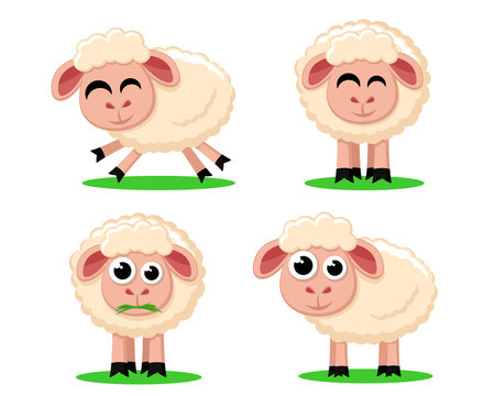 Set of cute sheep on a white background.