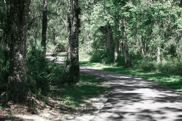 Obraz premium Path in Park