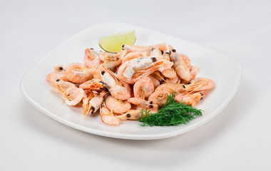 shrimps