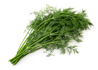 Fresh dill leaves on a white background. The form of the top.
