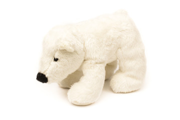 toy bear on white background