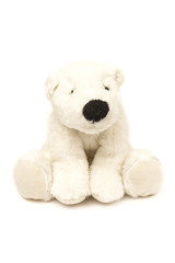 toy bear on white background