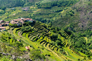Viewpoit of Sistelo's terraces