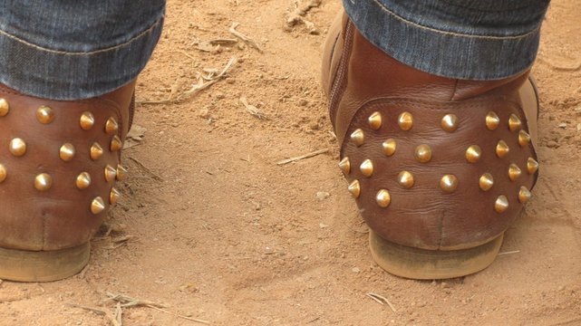 Bota