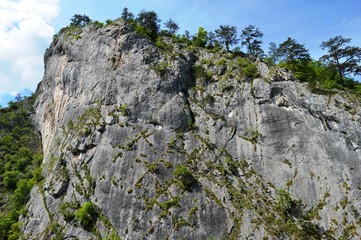 large rocks and trees on them