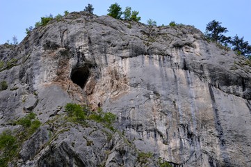 Fototapeta na wymiar large rocks and trees on them