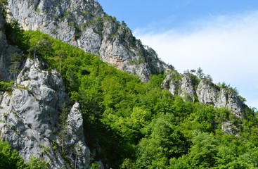 large rocks and trees on them