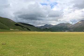 The plateau of Castelluccio di Norcia (Umbria, Italy). On the hill the shape of Italy made by tree.