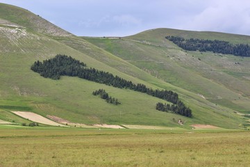 The plateau of Castelluccio di Norcia (Umbria, Italy). On the hill the shape of Italy made by trees.