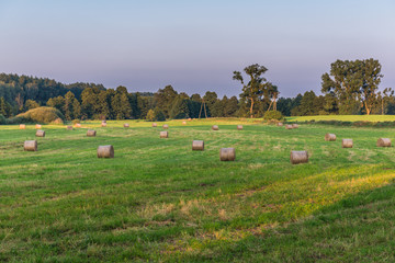 Countryside in Kujawy-Pomerania Province of Poland