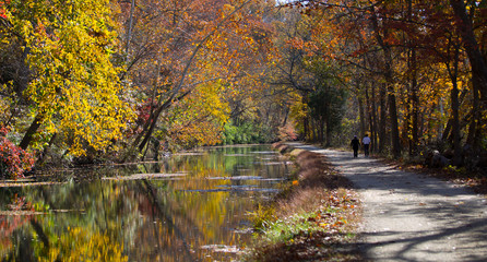 Obraz premium Spacer jesiennych kolorów