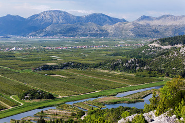 Fototapeta na wymiar Neretva delta in Croatia, Europe