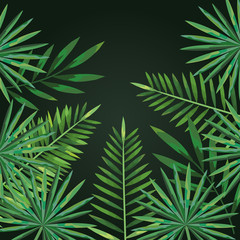 Obraz premium nature branches tropical leaves style