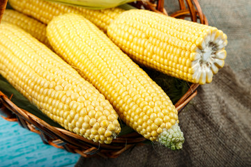 Corn in a wooden basket