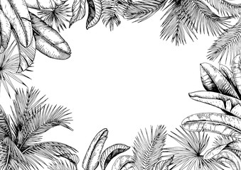Tropical frame with palm and banana leaves. Black and white. Hand drawn vector illustration.