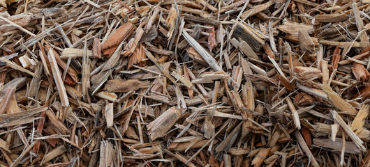 Woodchips