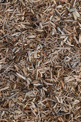 Woodchips
