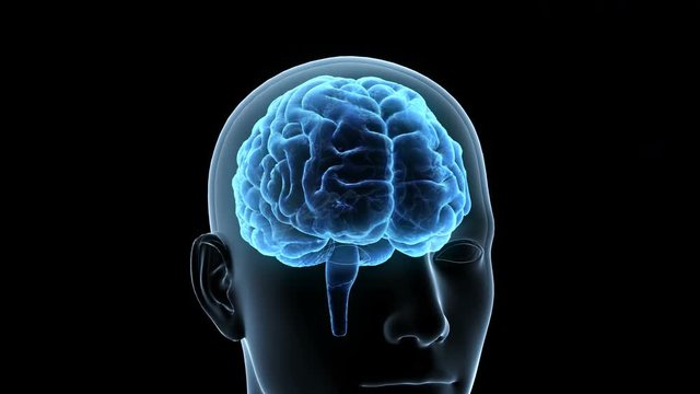 Brain head mind image background