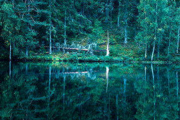 Reflektionen im See