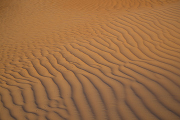 UAE. Desert  background close up