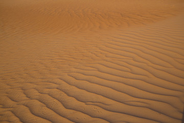 UAE. Desert  background close up