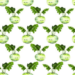 Green kohlrabi illustration. Watercolor seamless pattern of vegetables, raw green kohlrabi cabbage. Hand-drawn healthy food.
