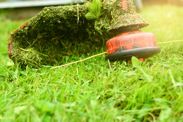 Trimmer close up mow the grass with a lawnmower. Gardening with a brush cutter Close-up. Lawn care with brush cutters
