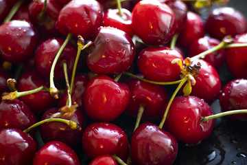 Closeup of ripe cherries with stalks and leaves