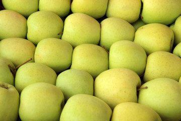  Pile of green apples. Many perfect green apples for food textures