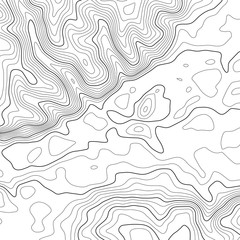 Topographic map lines background. Abstract vector illustration. Contour vector map.