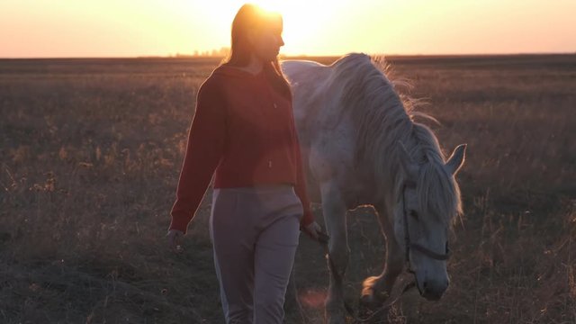 Sympathetic girl leads white horse in endless field at sunset, the horse follows