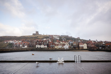 whitby harbour