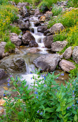 Cascade 4