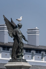 seagull on statue