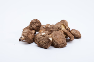 Dried shiitake mushroom isolated