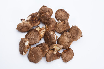 Dried shiitake mushroom isolated