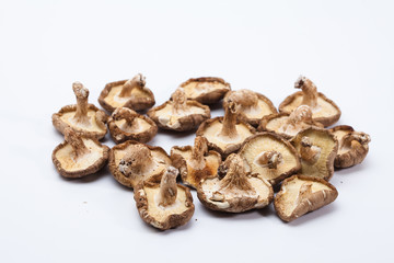 Dried shiitake mushroom isolated