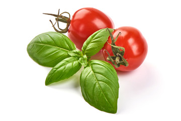 Fresh organic basil leaves with tomatoes, close-up, isolated on white background.