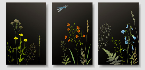Black postcards with herbs and flowers. Invitation. Decorative frames. Design elements.