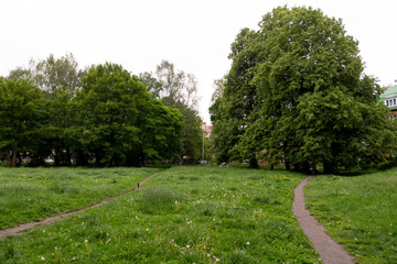 small park on the outskirts of the city with old trees