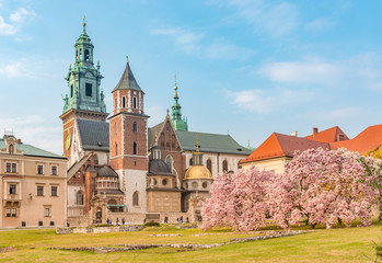 Wawel cathedral and castle with blooming magnolia tree, spring, Krakow, Poland