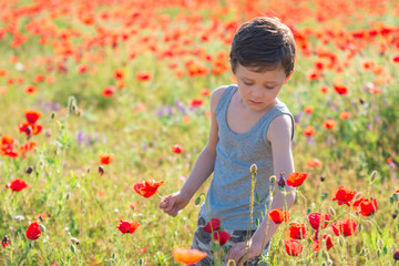 Boy in a flower field in spring