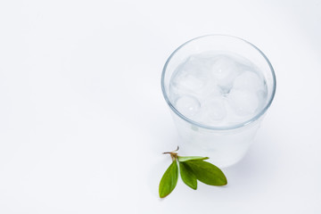 Green leaves with cold ice water on white