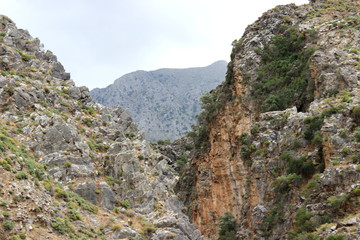 Fototapeta na wymiar Kreta, Kavousi, Wanderung