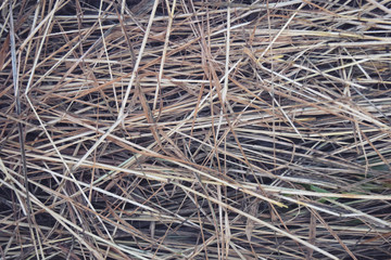 Hay Background, Hay Wallpaper, Hay Background Macro