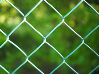 Green fence netting
