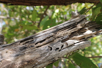 Tampa Bay in St Petersburg Florida