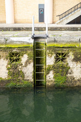 Metal dock canal ladder