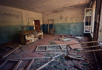 Fototapeta na wymiar ruined old houses in Zalyssia village located in Chernobyl Exclusion zone, popular dark tourism location, Ukraine